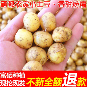 恩施富硒种植小土豆10斤现挖中等大小土豆当季新鲜蔬菜洋芋马铃薯