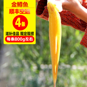 鱼新鲜 金鳟鱼 活体现宰刺身生鱼片野生淡水鱼顺丰空运包邮