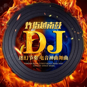 车载cd碟片越南鼓劲爆重低音dj嗨曲抖音无损音质音乐光盘mp3唱片