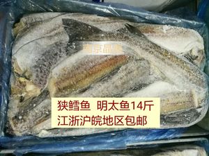 冷鲜鳕鱼整条没头鱼去头鱼明太鱼狭鳕鱼大棒鱼40斤江浙沪皖免邮费