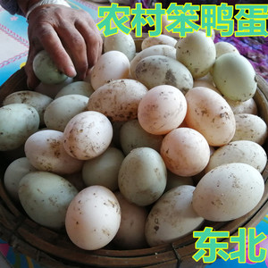 东北农村散养笨鸭蛋新鲜黑龙江农家土鸭蛋特产白壳绿壳健康