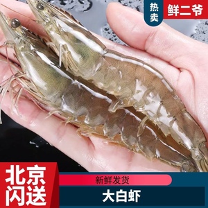 【北京闪送】500g海白虾20条左右 鲜活明虾国产海虾大虾对虾海鲜