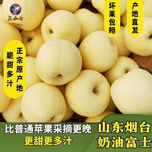 山东烟台黄金奶油苹果白色黄肉整箱水果脆甜新鲜丑苹果王小七精选