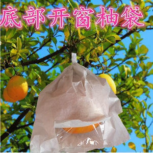 开窗沙田柚子套袋专用袋蜜柚橘红文旦金香柚纸袋金兰柚水果袋防虫