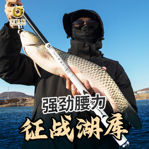 宝鱼龙素022新品龙匠s鱼竿手a竿超轻超硬碳2台钓竿飞杆官方旗舰店
