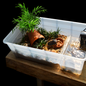 黄缘龟专用缸黄缘闭壳龟安布半水龟金钱龟生态养殖箱造景垫材龟池