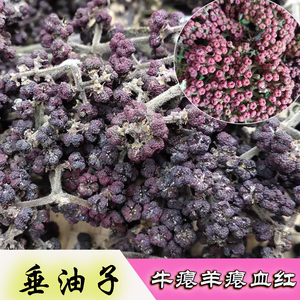 吴茱萸新鲜垂油子锤油子贵州农家特产牛瘪羊瘪血红香料500g包邮