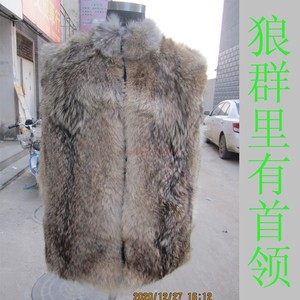 仿狼皮