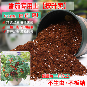 番茄专用土西红柿土盆栽肥料泥土专用营养土通用种植土养花种花土