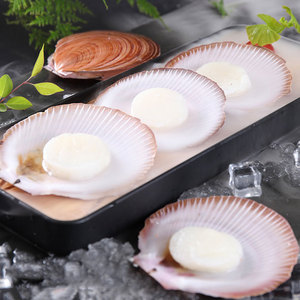 当年故事澳洲扇贝12只 即食刺身帆立贝生食带子海鲜寿司烧烤日料