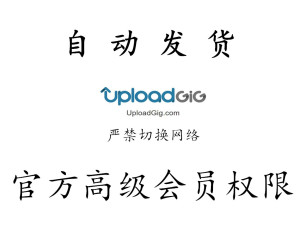 【自动发货】 uploadgig.com 高级权限独享100G流量 12小时