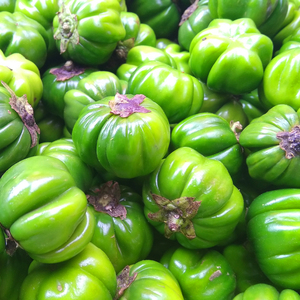 云南野菜新鲜苦茄苦子果大苦果消暑蔬菜1000g