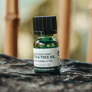 bodyshop茶树精油