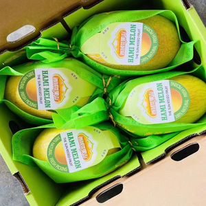 海南哈密瓜黄金蜜香瓜原箱礼盒黄色金美人网纹瓜包邮