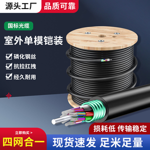 国标光缆4芯8芯12芯24芯室外铠装管道单模皮线光纤可架空管道直埋