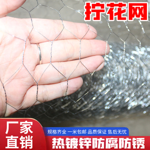镀锌铁丝钢丝拧花网围栏菱形网格养殖网果园网荷兰鸡不锈钢网