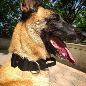 眼镜蛇狗项圈防爆冲中型大型犬颈圈德牧金毛马犬遛狗脖圈猛犬脖套