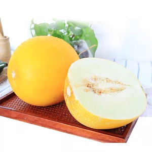 【北京发货】海南黄金蜜瓜甜瓜香甜多汁