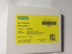 包邮!伯乐bio-rad 电泳短玻璃板1653308短玻璃板制胶板 正品