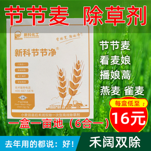 小麦除草剂节节麦野麦子燕麦雀麦猪殃殃甲基二看麦娘氟唑磺隆麦蒿