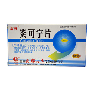 炎可宁片24片