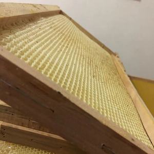 平常心syflz淘宝意蜂巢脾蜂脾巢础新巢脾繁殖产卵