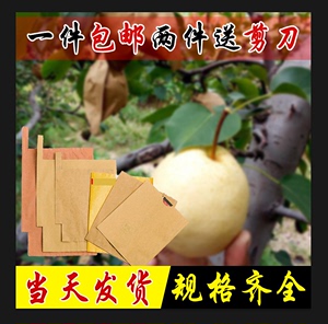 套梨专用袋子 双层外黄内黑 黄金梨套袋 桃子防水防虫保护袋 包邮