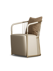 轻奢茶椅主人椅别墅客厅高级感客人椅设计师不锈钢极圈椅书房椅子