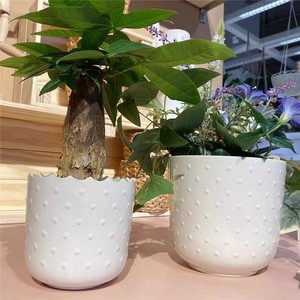 IKEA宜家瑟萨姆夫吕恩装饰用花盆 奶油色 白色陶瓷压花点摆件北欧
