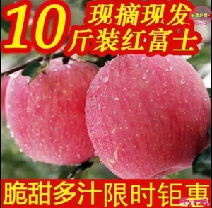 甘肃苹果泾川静宁红富士苹果当季新鲜水果整箱10斤包邮现摘现发