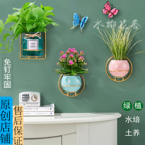 新款免钉创意艺术架壁挂式小花盆栽水培植物净化空气绿萝玻璃花瓶