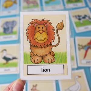 动物小学英语单词卡片英文幼儿启蒙儿童早教闪卡幼儿英语闪卡卡片