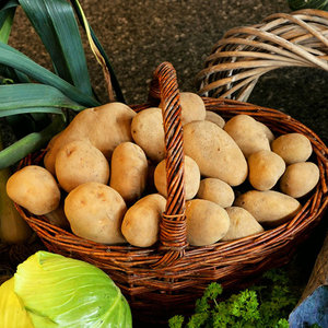 北京密云本地农家自种农产品蔬菜 新鲜土豆5斤装黄心洋芋头马铃薯