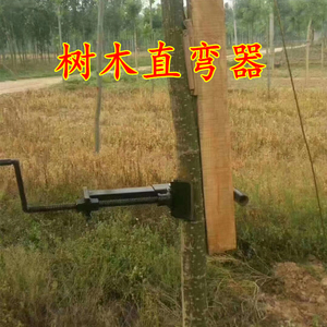 国槐直弯器树木直树器调直器园林矫正值弯拉直机纠正树干固定神器