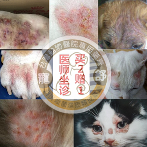 宠物猫狗皮肤病猫癣止痒脱毛真菌螨虫溃烂脓皮症趾间炎疥螨蠕形螨