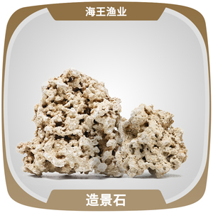 印尼爪哇岛干岩石海缸造景石代替活石人工开采死石培菌r牌as牌