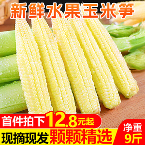 新鲜甜玉米笋9斤小玉米芯仔蔬菜迷你嫩玉米棒水果玉米批发5包邮