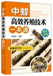 中蜂高效养殖技术一本通 蜜蜂养殖技术视频 壁蜂授粉技术 光盘书