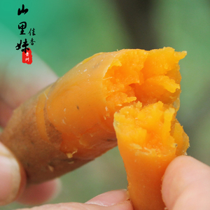 贵州特产安顺紫云红薯5斤包邮孕妇宝宝食用蜜薯迷你蒸煮小红薯