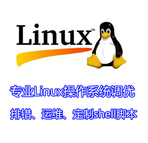 Linux服务器运维 故障排除 安全优化 服务器代维