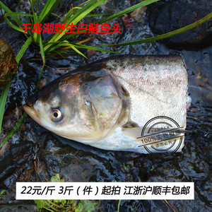 千岛湖鱼头野生鱼头有机鱼头鲢鱼头鲜活鱼新鲜鱼头湖鲜淡水鱼热销
