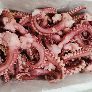 脆口章鱼须商用八爪鱼章鱼足超大鱿鱼须新鲜章鱼粒海鲜单冷冻10斤