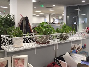 办公室铁艺置物架栏杆窗台收纳盆栽架办公桌面隔板多肉植物花架