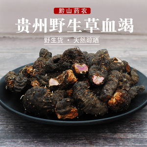 血三七野生