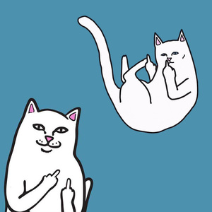 能逗定制y85 日韩ins徽章 贱猫中指猫胸针 男女潮牌饰品 创意别针