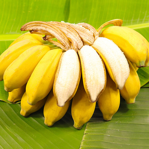 正宗广西小米蕉香蕉10斤新鲜水果整箱当季鲜苹果蕉自然熟粉蕉包
