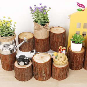 小木桩底座摆件树桩树干原木头杉树摄影拍照园艺木柱木墩装饰道具