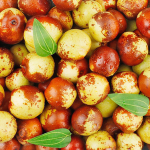 沾化冬枣新鲜枣子脆甜5斤山东大枣水果包邮当季整箱青枣