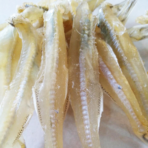 北海特产海鲜渔民自晒淡干野生圆头白帆鱼干500g包邮银鱼