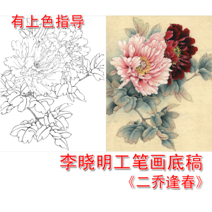 李晓明工笔花鸟白描底稿牡丹二乔逢春图带步骤图文字说明底稿l207